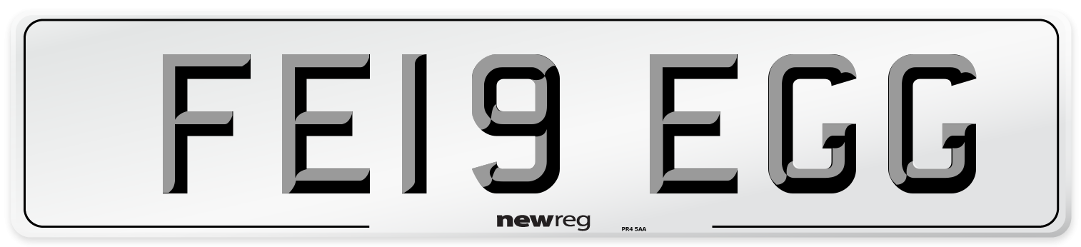 FE19 EGG Number Plate from New Reg